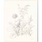 Nature Sketchbook by Danhui Nai 12" x 15" Canvas Wall Art (Set of 2)